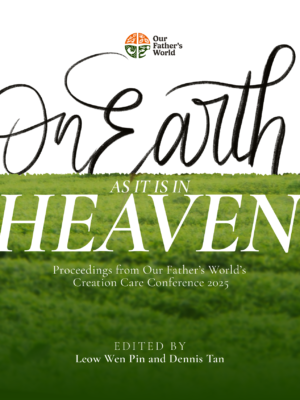 [E-book] On Earth as in Heaven: Proceedings from CCC25